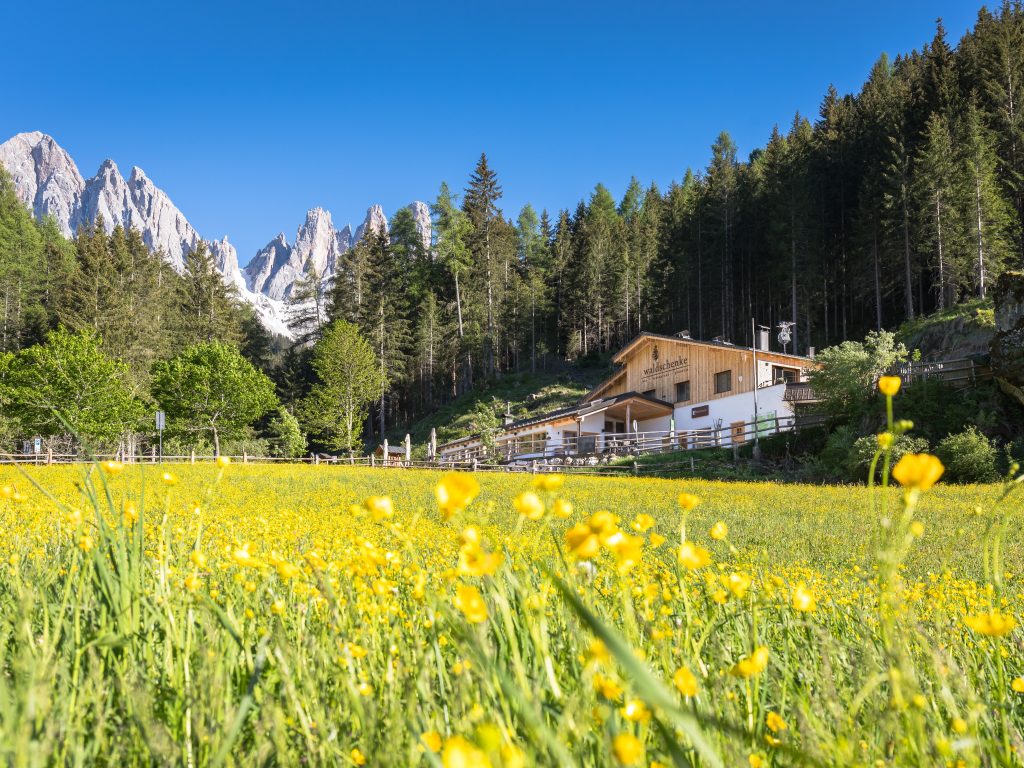 Waldschenke im Sommer – von außen